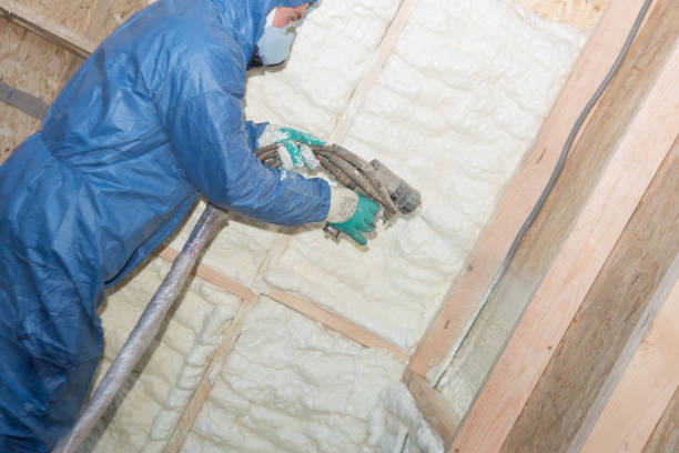 Best Reflective Insulation  in Scaggsville, MD